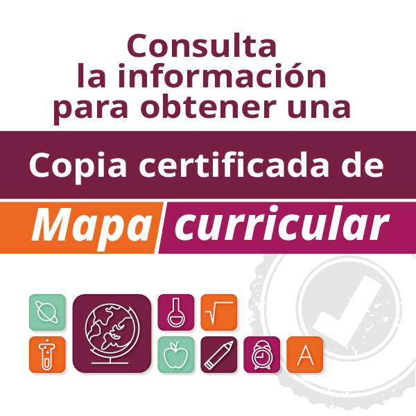 Certificado de mapa curricular
