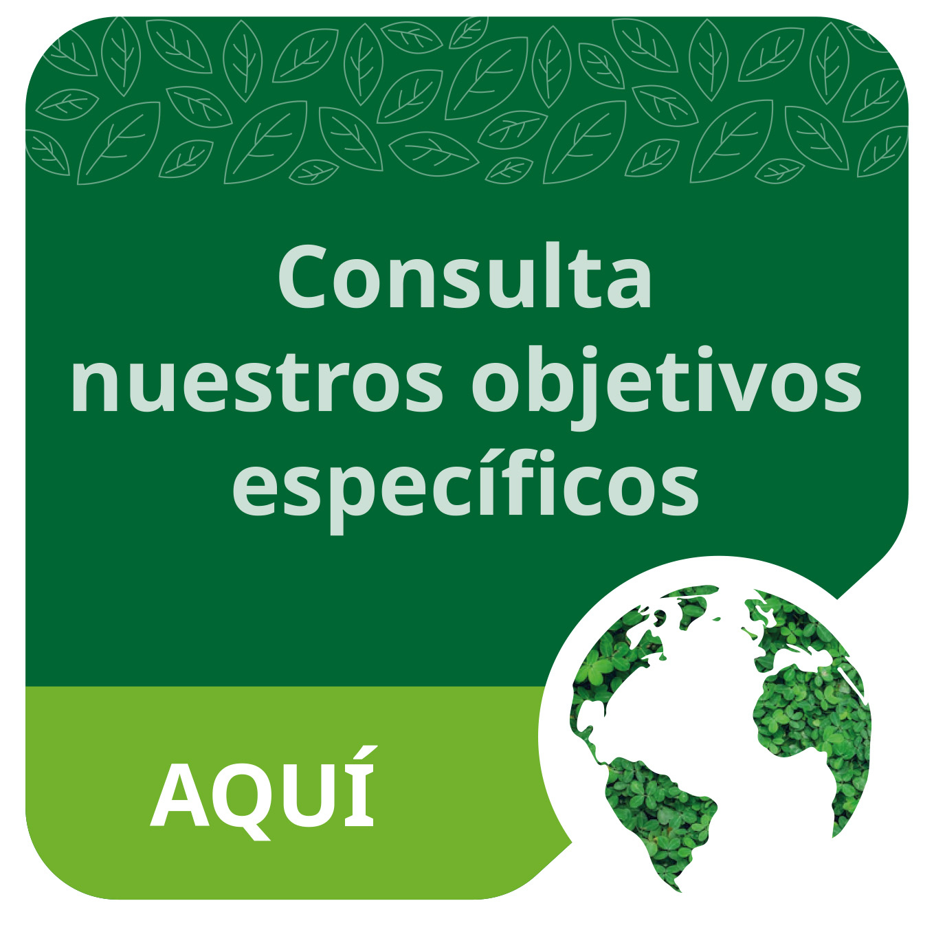 Consulta objetivos