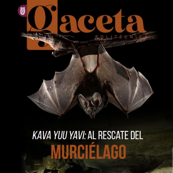 Escuela Superior de Turismo (EST) - IPN | IPN Oficial